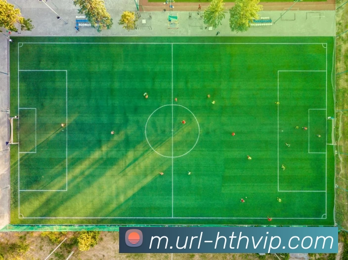华体会APP 封面图